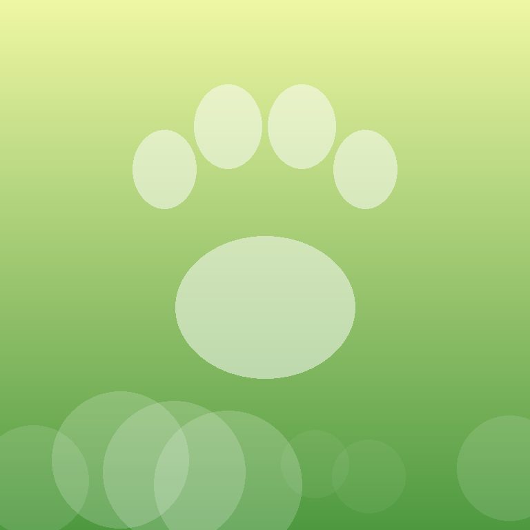 Ceviz
